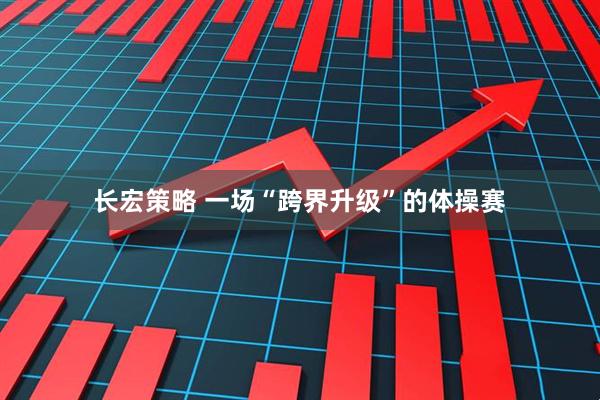 长宏策略 一场“跨界升级”的体操赛