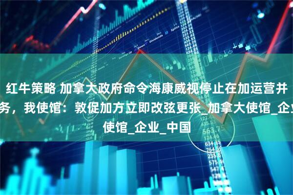 红牛策略 加拿大政府命令海康威视停止在加运营并关闭业务，我使馆：敦促加方立即改弦更张_加拿大使馆_企业_中国