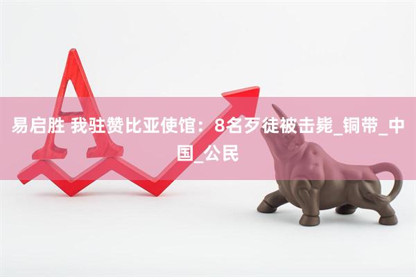易启胜 我驻赞比亚使馆：8名歹徒被击毙_铜带_中国_公民