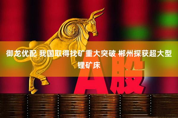 御龙优配 我国取得找矿重大突破 郴州探获超大型锂矿床
