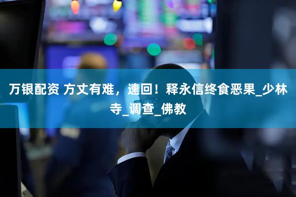 万银配资 方丈有难，速回！释永信终食恶果_少林寺_调查_佛教